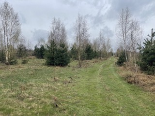 Sprzedam działkę budowlaną z warunkami zabudowy pow. ok. 1200 m2 -
Mazowieckie Zdjęcie nr 12