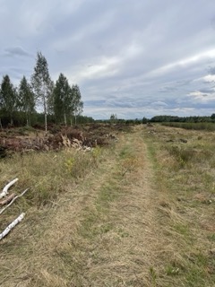 Sprzedam działkę budowlaną z warunkami zabudowy pow. ok. 1200 m2 -
Mazowieckie Zdjęcie nr 17