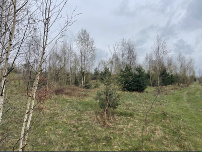 Sprzedam działkę budowlaną z warunkami zabudowy -
Mazowieckie Zdjęcie nr 5