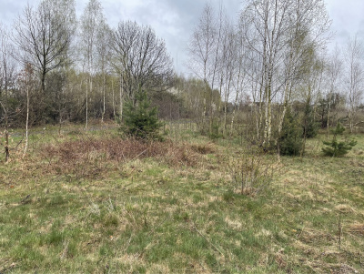 Sprzedam działkę budowlaną z warunkami zabudowy pow. ok. 1200 m2 -
Mazowieckie Zdjęcie nr 3