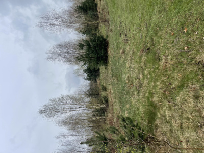 Sprzedam działkę budowlaną z warunkami zabudowy 125 km od Warszawy -
Mazowieckie Zdjęcie nr 6