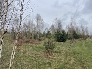 Sprzedam działkę budowlaną z warunkami zabudowy pow. ok. 1200 m2 -
Mazowieckie Zdjęcie nr 14