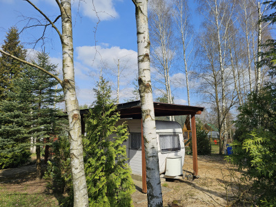 Działka budowlana Zarzęcin -
łódzkie Zdjęcie nr 5