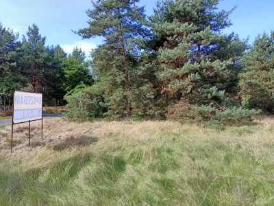 Działka 1 436 m², Świbinki -
lubuskie Zdjęcie nr 3