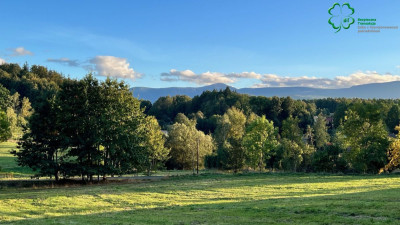 Na sprzedaż działka budowlana - Staniszów -
dolnośląskie Zdjęcie nr 2