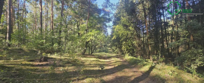 Na sprzedaż działka rekreacyjna - Szydłówiec -
wielkopolskie Zdjęcie nr 10