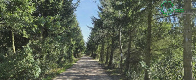 Na sprzedaż działka rekreacyjna - Szydłówiec -
wielkopolskie Zdjęcie nr 11