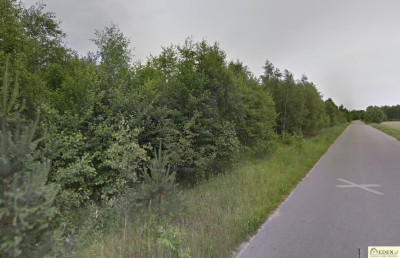 Działki leśne w Klimkach k Łuków - Klimki  -
lubelskie Zdjęcie nr 2