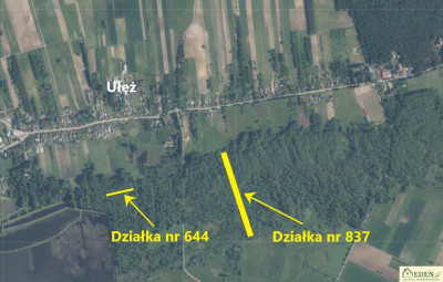 Sprzedam Działki Leśne we wsi Ułęż - Ułęż  - lubelskie