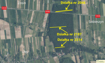 Sprzedam Działki Leśne we wsi Ułęż - Ułęż  -
lubelskie Zdjęcie nr 2