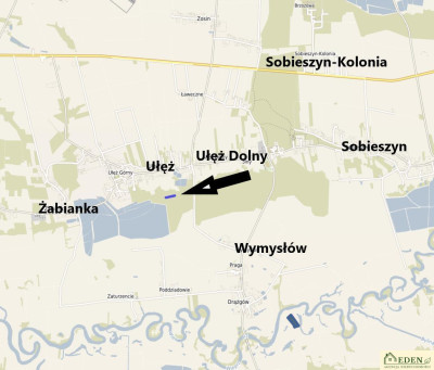 Sprzedam Działki Leśne we wsi Ułęż - Ułęż  -
lubelskie Zdjęcie nr 3