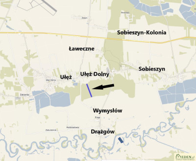 Sprzedam Działki Leśne we wsi Ułęż - Ułęż  -
lubelskie Zdjęcie nr 4