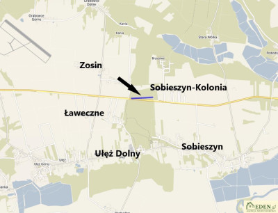 Sprzedam Działki Leśne we wsi Ułęż - Ułęż  -
lubelskie Zdjęcie nr 5