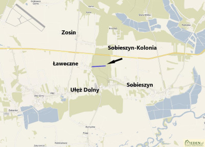 Sprzedam Działki Leśne we wsi Ułęż - Ułęż  -
lubelskie Zdjęcie nr 6