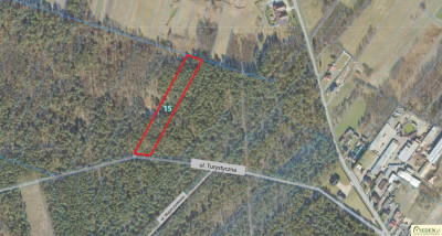 Działka 83 ary przy Zalewie Zimna Woda w Łukowie - Łuków Zimna Woda  -
lubelskie Zdjęcie nr 3