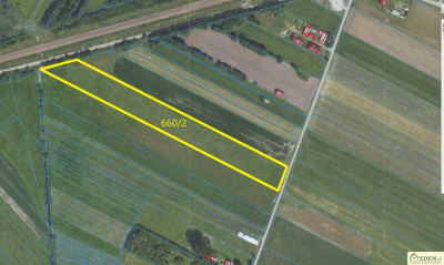 Okazja Nowa niższa cena - Szaniawy-Poniaty  - lubelskie