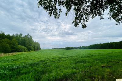 6 działek wydane WZ w Chlewiskach gm Kotuń - Chlewiska  -
mazowieckie Zdjęcie nr 10