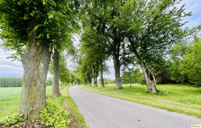 6 działek wydane WZ w Chlewiskach gm Kotuń - Chlewiska  -
mazowieckie Zdjęcie nr 8