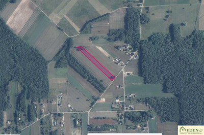 Okazja Działka budowlano-rolna Strzyżew k Łuków - Strzyżew  -
lubelskie Zdjęcie nr 3