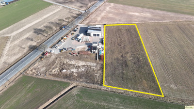 Działka rolno-inwestycyjna w mChromna gmZbuczyn - Chromna  -
mazowieckie Zdjęcie nr 4