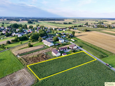 Działka pod budowę domu- Daćbogi gm Wiśniew - Daćbogi  - mazowieckie