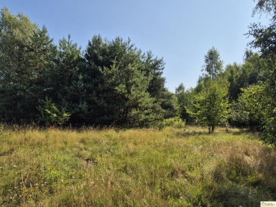 Na sprzedaż działka w Oleśnicy gm Wodynie - Oleśnica  - mazowieckie