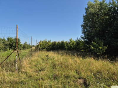 Na sprzedaż działka w Oleśnicy gm Wodynie - Oleśnica  -
mazowieckie Zdjęcie nr 2