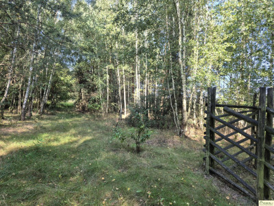 Na sprzedaż działka w Oleśnicy gm Wodynie - Oleśnica  -
mazowieckie Zdjęcie nr 3