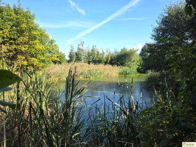 Działka budowlana - Łuków  -
lubelskie Zdjęcie nr 13