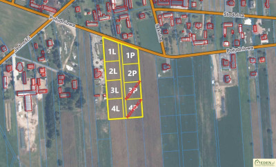 8 działek budowlanych - Okrzeja - Okrzeja  - lubelskie