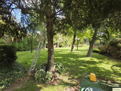 Działka Łuków ul Sienkiewicza - Łuków  -
lubelskie Zdjęcie nr 10