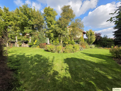 Działka Łuków ul Sienkiewicza - Łuków  -
lubelskie Zdjęcie nr 11