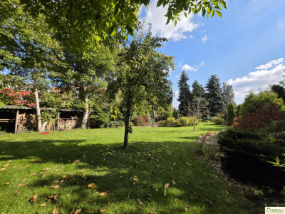 Działka Łuków ul Sienkiewicza - Łuków  -
lubelskie Zdjęcie nr 6