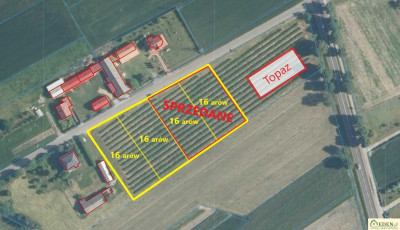 Działka budowlana 32 ary przy DK nr 63 - Stok  -
lubelskie Zdjęcie nr 2