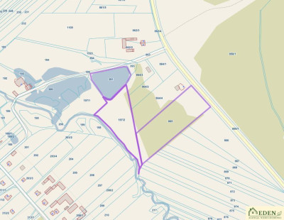 Działki inwestycyjne przy DW803ze stawem Zgórznica - Zgórznica  -
lubelskie Zdjęcie nr 3