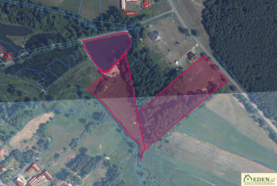 Działki inwestycyjne przy DW803ze stawem Zgórznica - Zgórznica  -
lubelskie Zdjęcie nr 5