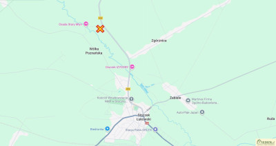 Działki inwestycyjne przy DW803ze stawem Zgórznica - Zgórznica  -
lubelskie Zdjęcie nr 7