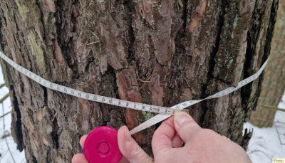 Atrakcyjna działka leśna o powierzchni 177 ha gm Krzywda - Orle Gniazdo  -
lubelskie Zdjęcie nr 3