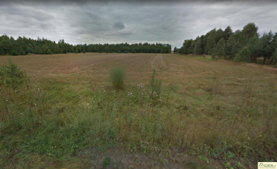 OSTATNIA Działka w Krynce k Łuków OKAZJA - Krynka  -
lubelskie Zdjęcie nr 4