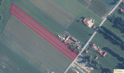 Działka bud-rolna 168 ha o dużym potencjale Karwów gm Trzebieszów - Karwów  -
lubelskie Zdjęcie nr 2