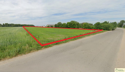 Działka bud-rolna 168 ha o dużym potencjale Karwów gm Trzebieszów - Karwów  -
lubelskie Zdjęcie nr 5