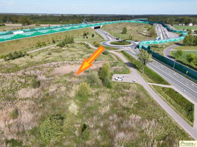 Sprzedam działki z pozwoleniem na budowe 44 ha w Ryczołek przy A2 - Ryczołek  -
mazowieckie Zdjęcie nr 3