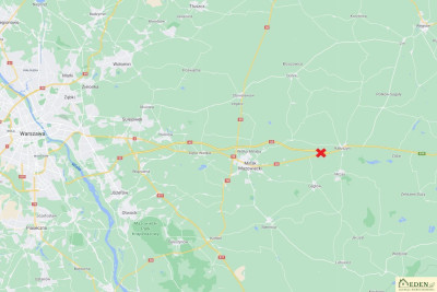 Sprzedam działki z pozwoleniem na budowe 44 ha w Ryczołek przy A2 - Ryczołek  -
mazowieckie Zdjęcie nr 9
