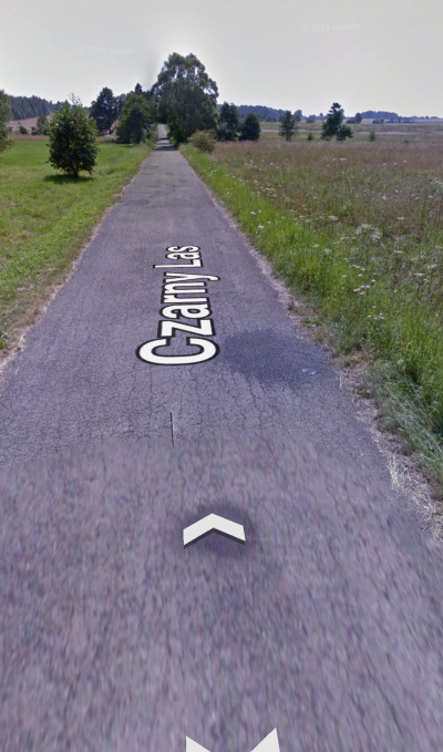 Sprzedam działkę rekreacyjną 1,0106ha nr 159 -
śląskie Zdjęcie nr 4