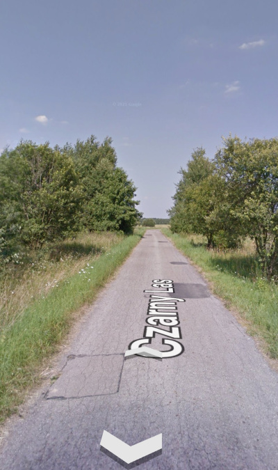 Sprzedam działkę rekreacyjną 1,0106ha nr 159 -
śląskie Zdjęcie nr 5