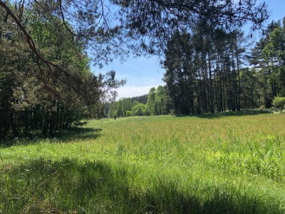 Na sprzedaż działka rolna - Poźrzadło -
lubuskie Zdjęcie nr 3