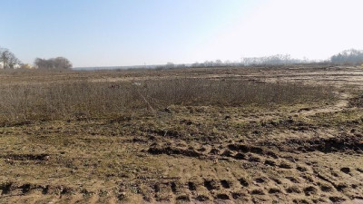 Na sprzedaż działka usługowa - Wilczyna -
wielkopolskie Zdjęcie nr 9
