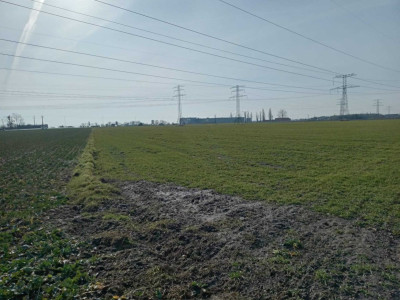 Na sprzedaż działka inwestycyjna - Konin -
wielkopolskie Zdjęcie nr 3