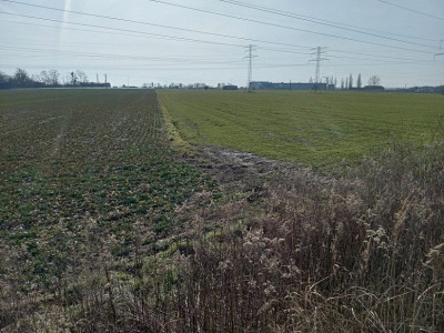 Na sprzedaż działka inwestycyjna - Konin -
wielkopolskie Zdjęcie nr 4