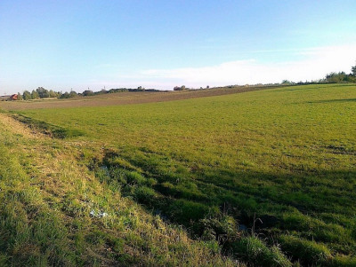 Na sprzedaż działka budowlana - Pysząca - wielkopolskie